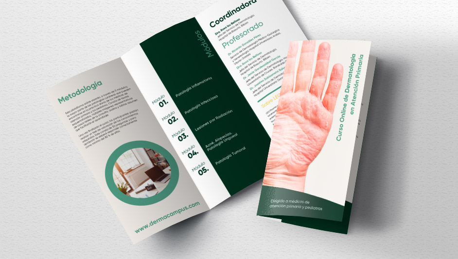 Página web WordPress para Dermacampus diptic