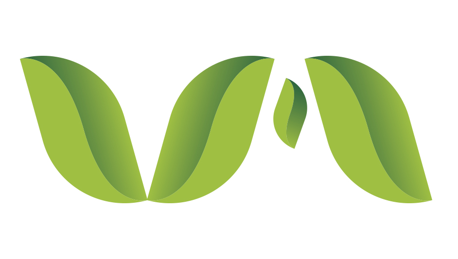 Diseño imagotipo para Clínica Dental Virgen de la Merced