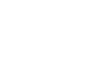 Dr. Scholl
