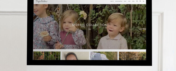 Image of the desktop version of Tipitesa's e-commerce site