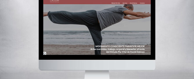 Image of the desktop version of the Pla Vital website