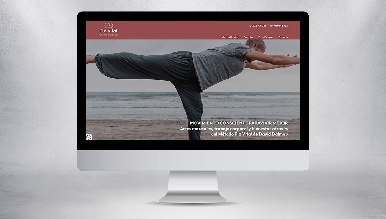 Image of the desktop version of the Pla Vital website