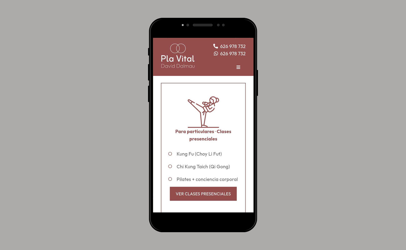 Image of the mobile version of the Pla Vital website.